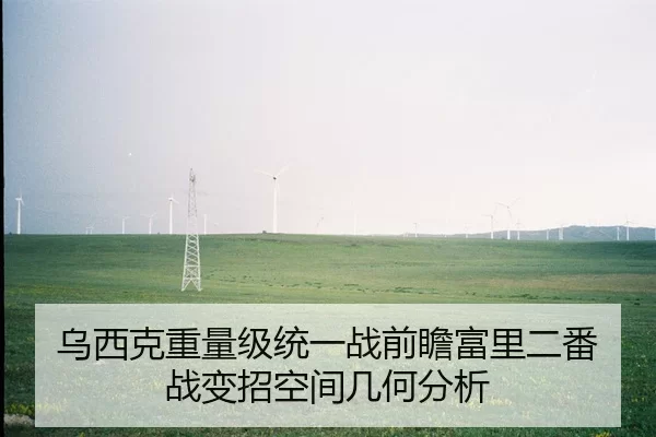 乌西克重量级统一战前瞻富里二番战变招空间几何分析